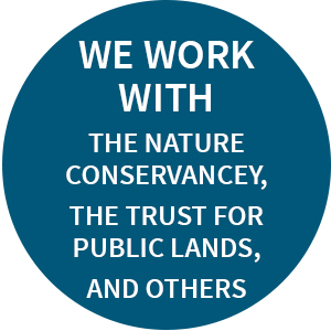 我们与自然保护协会、公共土地信托基金和其他机构合作