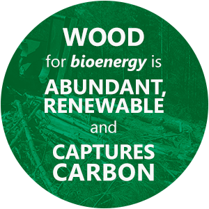 木为生物能源丰富,可再生能源和caputres碳
