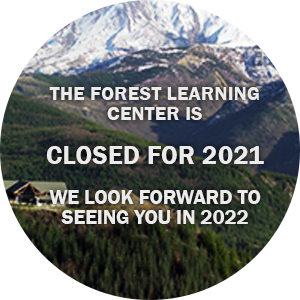 森林学习中心2021年关闭。2022年见!
