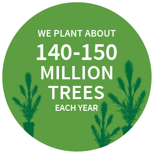 我们每年植物约140-150万棵树