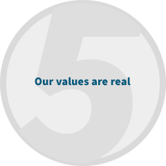 原因-values.png